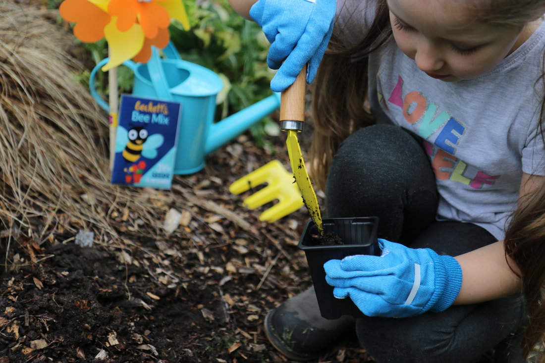 Easy planting for Children and Adults